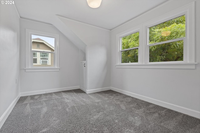 bonus room with a wealth of natural light, vaulted ceiling, and carpet floors