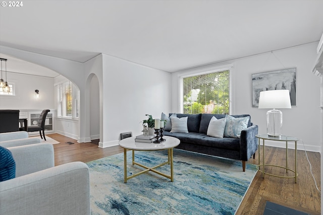 living room featuring wood-type flooring and a wealth of natural light