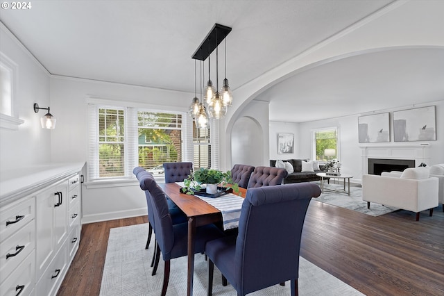 dining room with ornamental molding and dark wood-type flooring