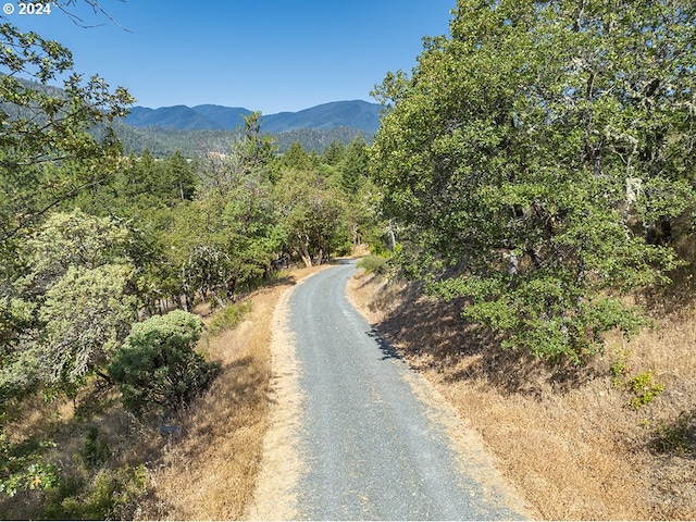 17252 N Applegate Rd, Grants Pass, OR 97527 - view of mountain background with a heavily wooded area