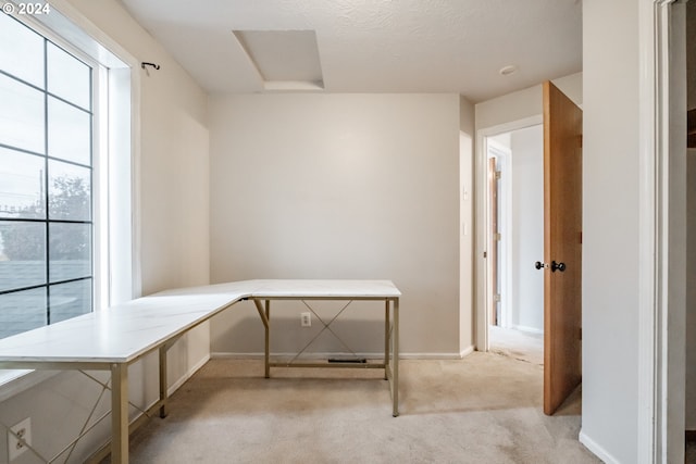 unfurnished office with light carpet and a textured ceiling