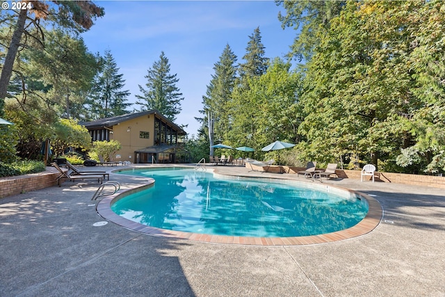 view of swimming pool featuring a patio