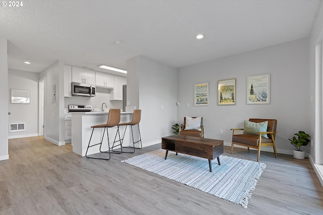 sitting room featuring light hardwood / wood-style flooring and sink