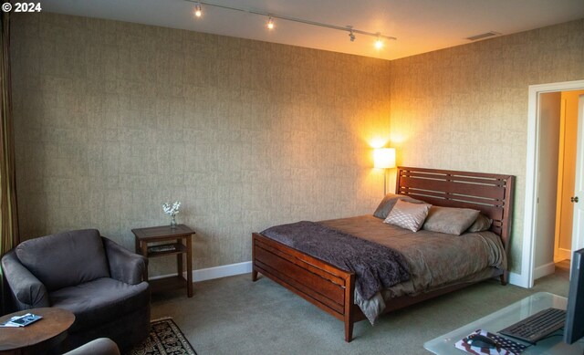 bedroom featuring rail lighting and carpet floors