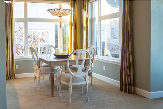 carpeted dining room with plenty of natural light