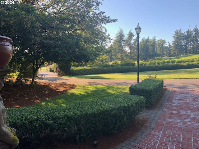 view of home's community featuring a yard