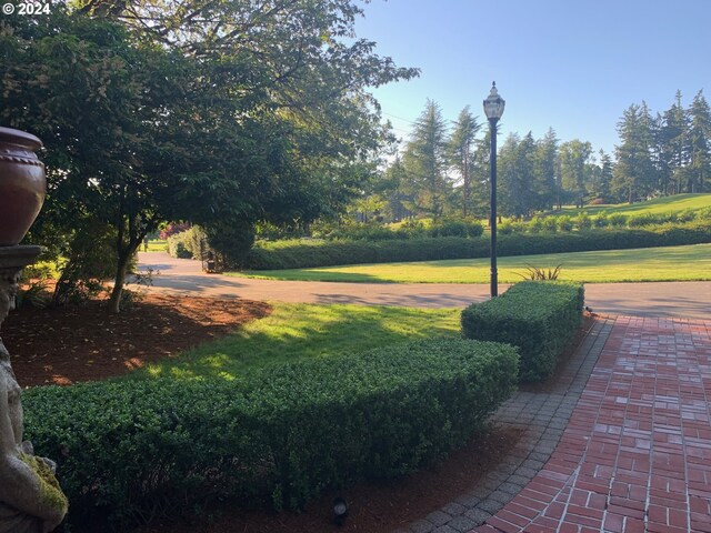 view of home's community featuring a yard