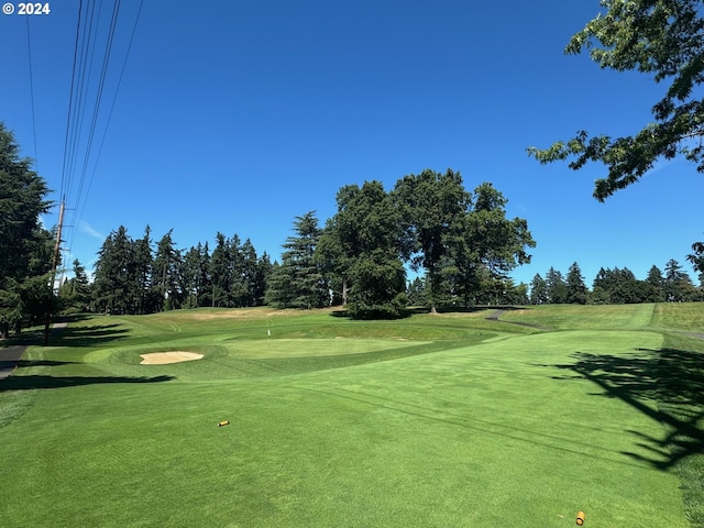 surrounding community featuring a yard