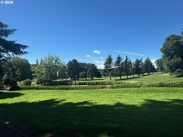 view of property's community featuring a yard