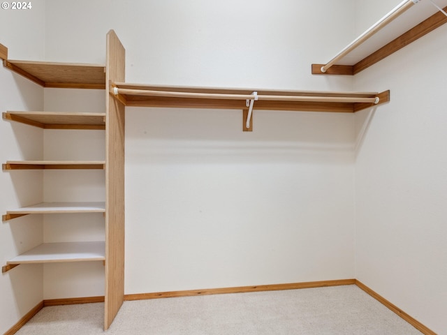 spacious closet featuring light carpet