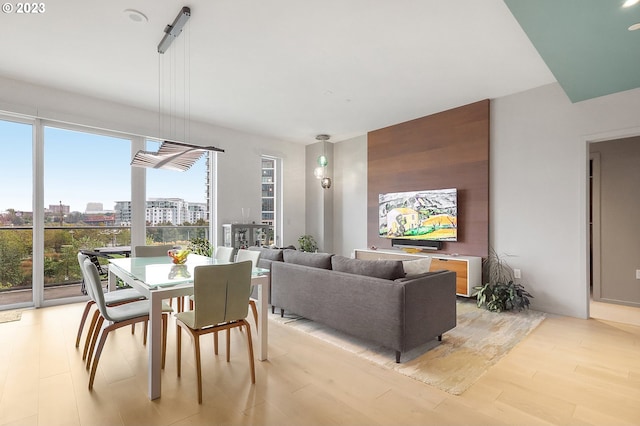 dining room with plenty of natural light and light hardwood / wood-style flooring