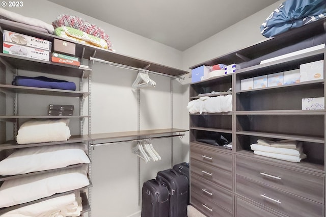 view of spacious closet