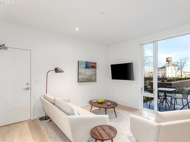 living room with light wood-type flooring