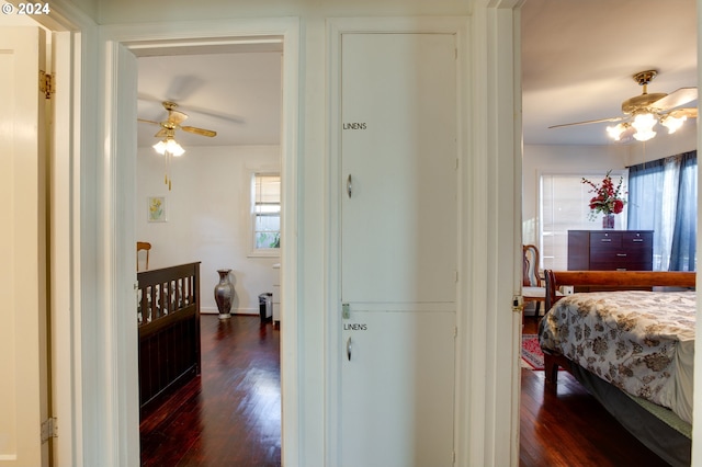 bedroom with multiple windows, dark hardwood / wood-style floors, and ceiling fan