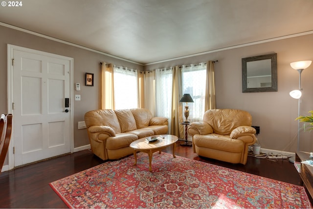 living room with crown molding and dark wood-type flooring