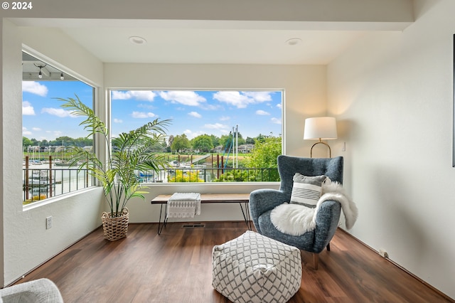 living area featuring a water view, a healthy amount of sunlight, and dark wood-type flooring