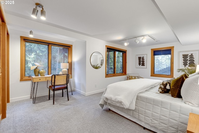 carpeted bedroom with rail lighting and multiple windows