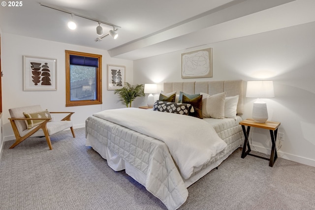 bedroom featuring track lighting and carpet flooring