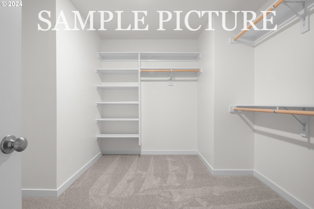 walk in closet with carpet floors