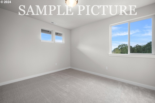 carpeted spare room featuring a healthy amount of sunlight