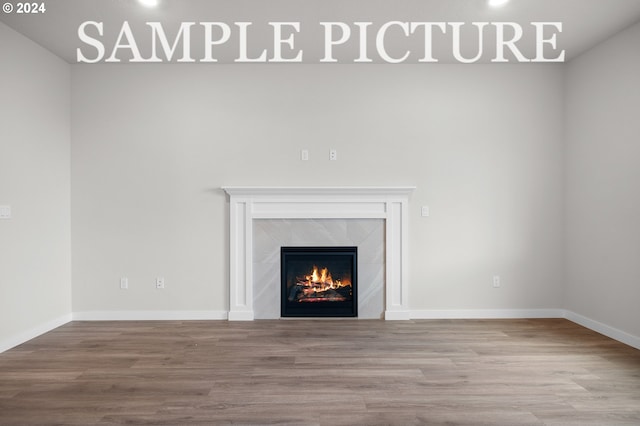 interior details featuring hardwood / wood-style floors and a premium fireplace