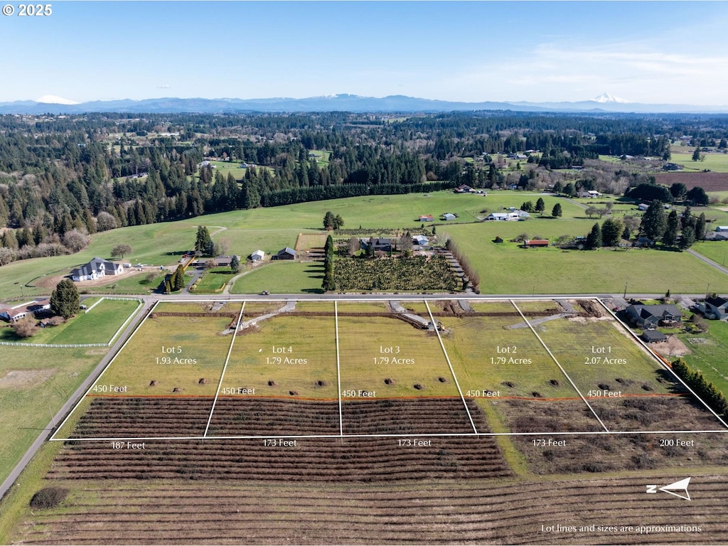 aerial view featuring a mountain view and a rural view