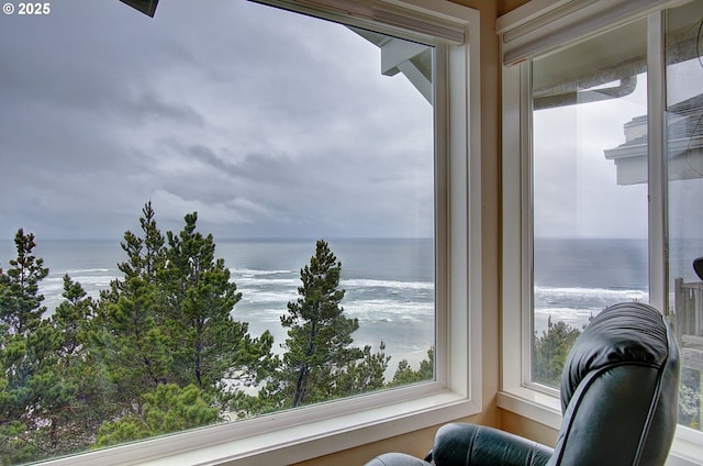 property view of water