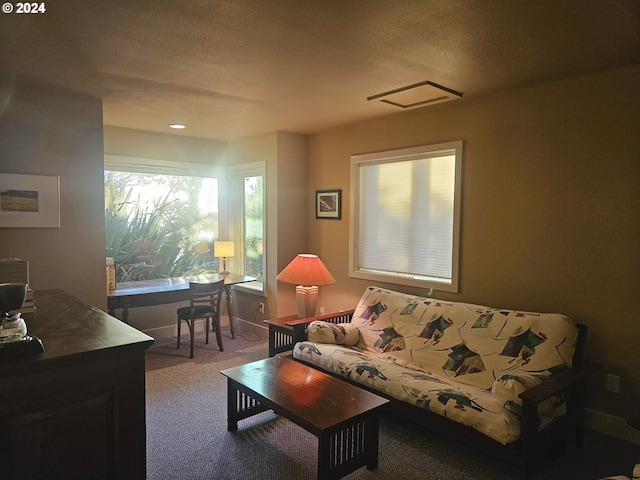 carpeted living area with visible vents