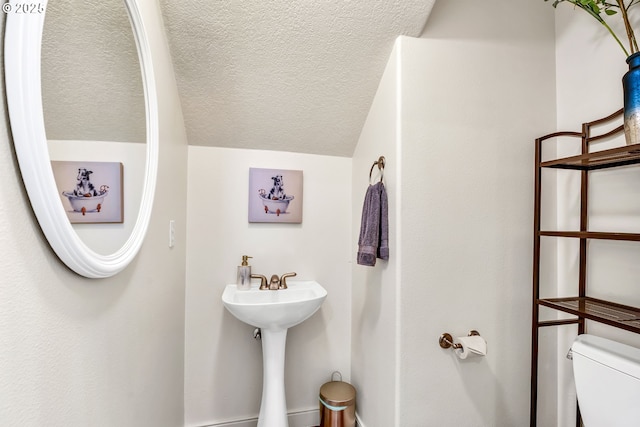 bathroom with lofted ceiling and toilet