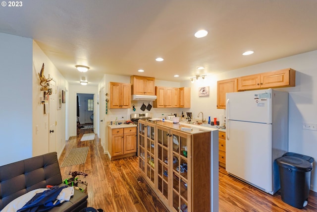 kitchen featuring light brown cabinets, dark hardwood / wood-style floors, white fridge, and sink