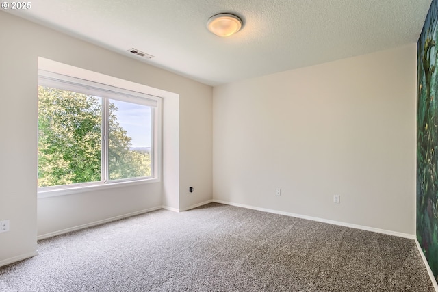 16675 SW Heceta Ct, Beaverton, OR 97007 - empty room with carpet flooring, baseboards, and a textured ceiling