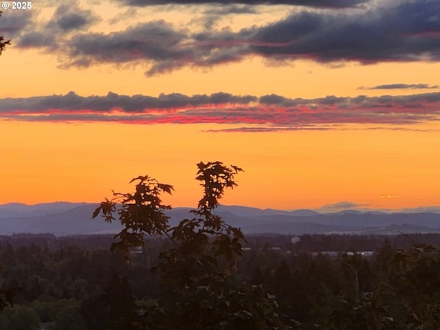 16675 SW Heceta Ct, Beaverton, OR 97007 - view of mountain background