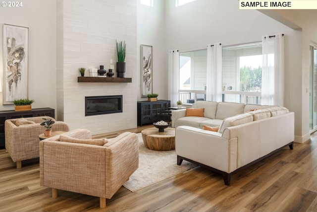 living room with a large fireplace and hardwood / wood-style flooring