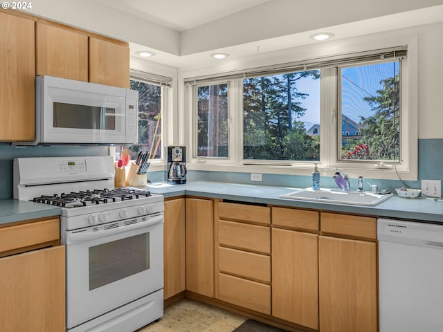 kitchen with white appliances and sink