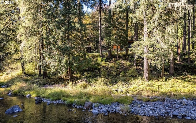 view of local wilderness