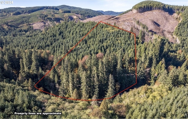 birds eye view of property with a mountain view