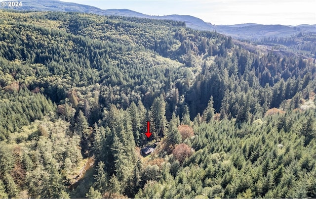 birds eye view of property featuring a mountain view