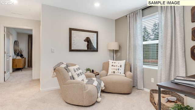 sitting room with light carpet