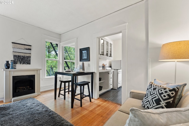 living area featuring wood finished floors and a fireplace