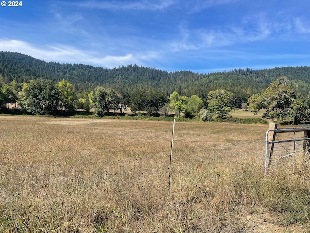 property view of mountains with a rural view