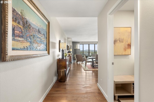 hallway with hardwood / wood-style flooring