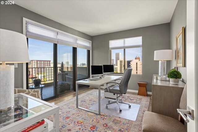 home office featuring hardwood / wood-style floors