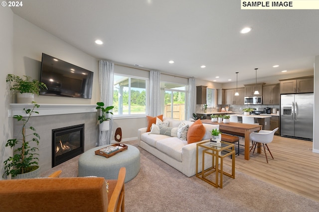 living room featuring light hardwood / wood-style flooring