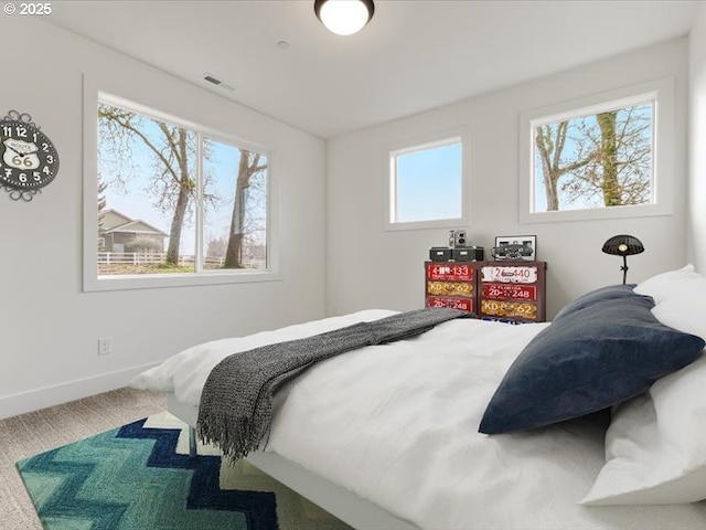 carpeted bedroom with multiple windows