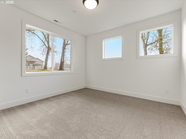 empty room featuring a wealth of natural light and carpet flooring