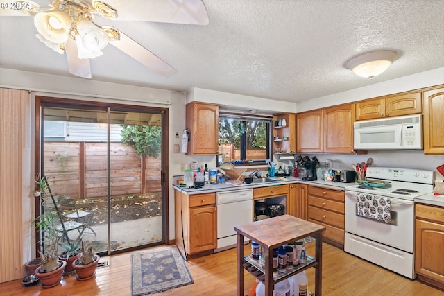 kitchen with white appliances, light hardwood / wood-style flooring, ceiling fan, and sink