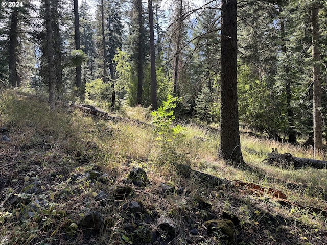 Beske Ln, Wallowa Lake OR, 97846 land for sale