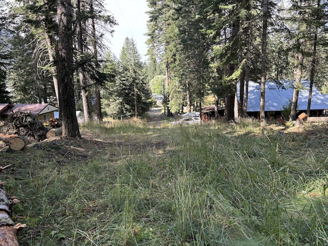 Listing photo 3 for Beske Ln, Wallowa Lake OR 97846