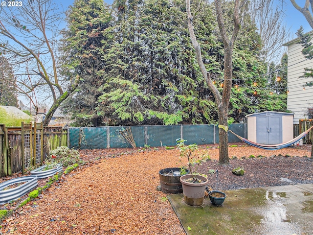 view of yard with a storage unit