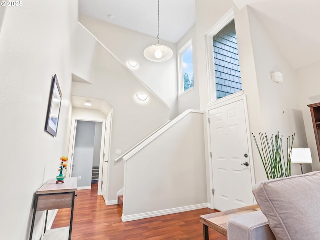 entryway with hardwood / wood-style flooring and a towering ceiling